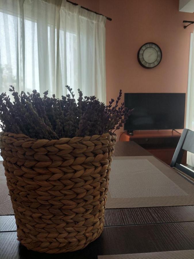 Villa Πιθοσ Ενοικιαζομενη Κατοικια à Kalamata Extérieur photo